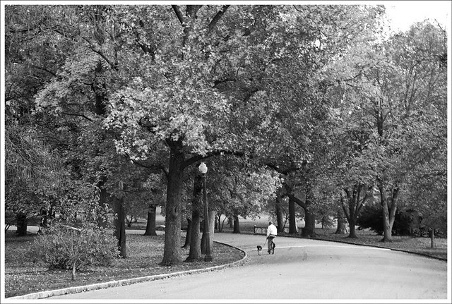 Tower Grove Park 2011-11-05 2