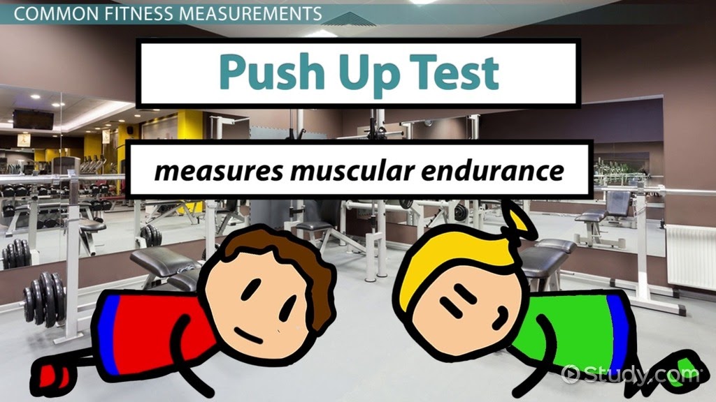 5 Components Of Fitness Worksheet - Promotiontablecovers