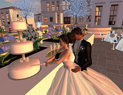 Thorne-Darwin Wedding - Cake Cutting