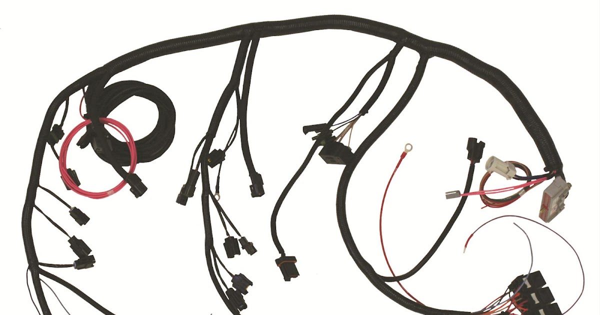 Ford 5 0 Efi Wiring Harnes - Wiring Diagram