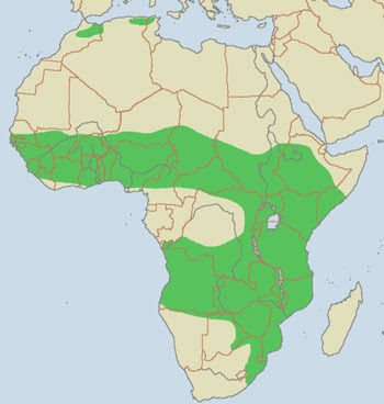 Savannah Map Africa | Map Of Africa