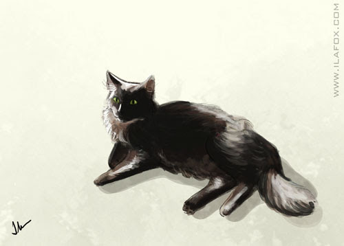 30 Day Drawing Challenge, fav animal, Desafio dos 30 dias de desenho, animal favorito, pintura gato, gato preto, by ila fox