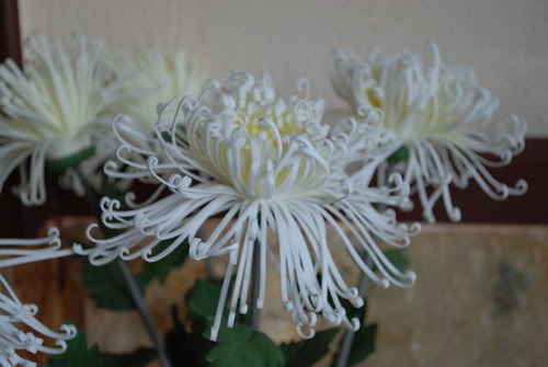White flower
