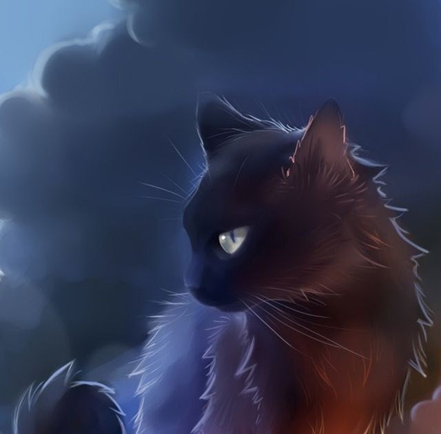 Warrior Cats Phone Wallpaper - RankTechnology