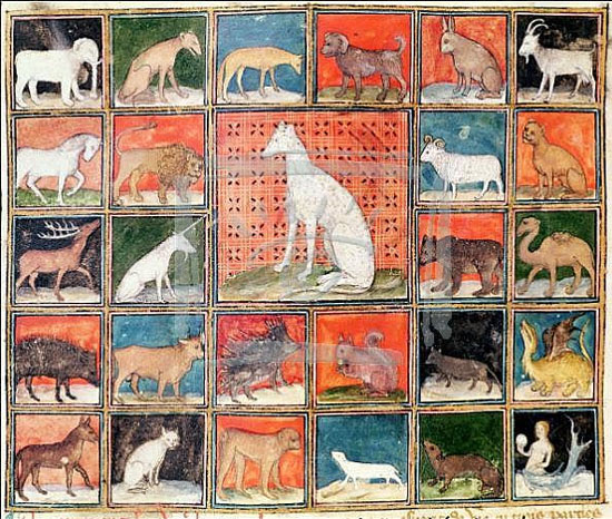 Four-legged animals from Bartholomaeus Anglicus’ “Le Livre des Proprietés des Choses”, translated by Jean Cordichon, 14th c. Reims, Bibl. Municipale Ms. 993 fol. 254v.