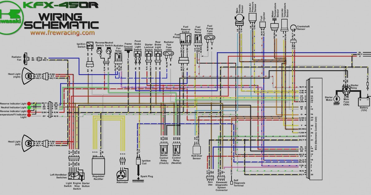 2004 Yfz 450 Wiring Diagram Organicled