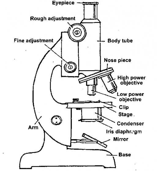 Best Sketch Microscope Drawing with Realistic