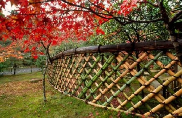 Contoh Pagar  Bambu  Keren Pagar  Susunan Bambu  Tua Kali 