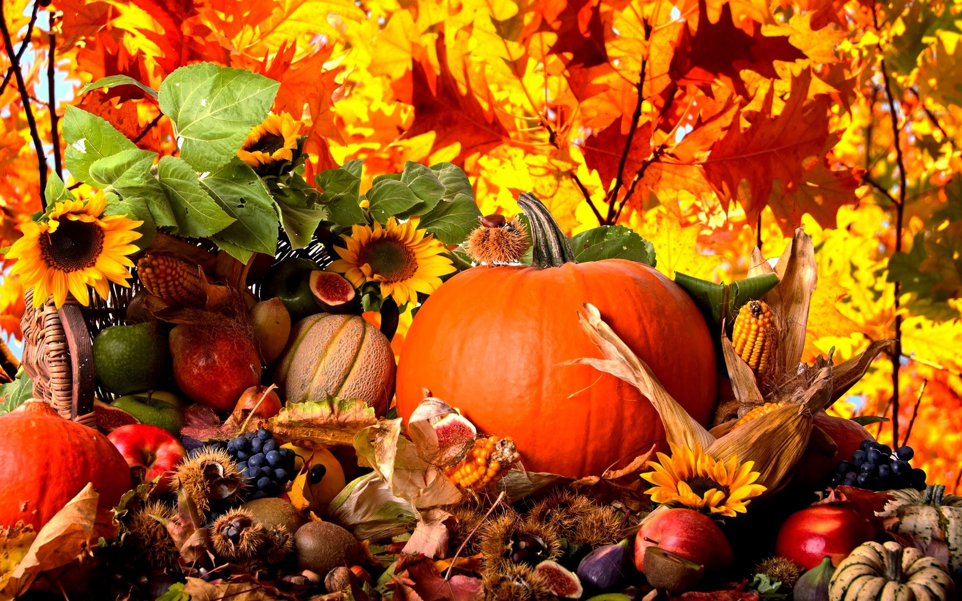 download-fall-leaves-and-pumpkins-wallpaper