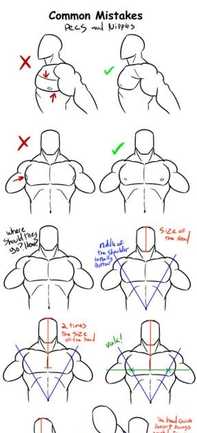 male chest shapes