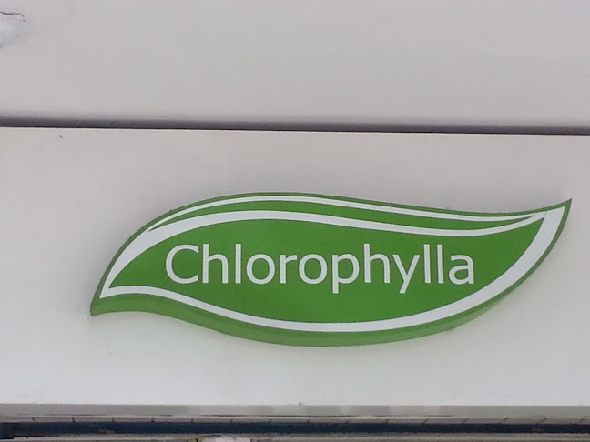 Comentários e avaliações sobre Chlorophylla