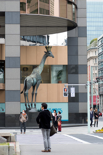 Tokyo giraffe