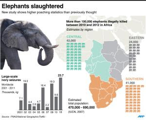 There could be as few as 470,000 African elephants, …