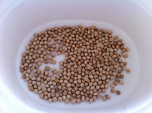 Chick Peas Added to Slow Cooker
