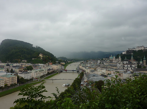 P1030411_bis