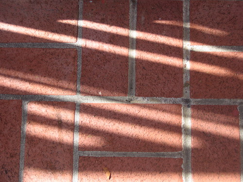 Shadow _ 8908