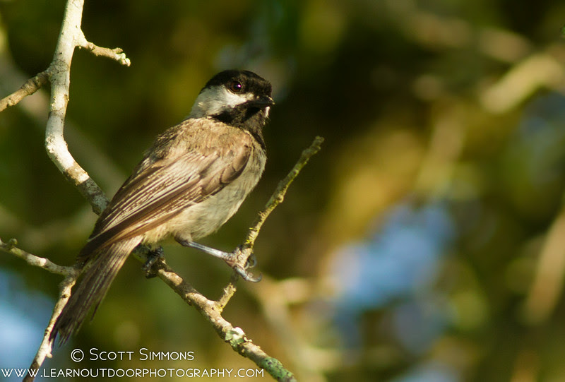 Photo & Video Sharing by SmugMug Photo & Video Sharing by SmugMug