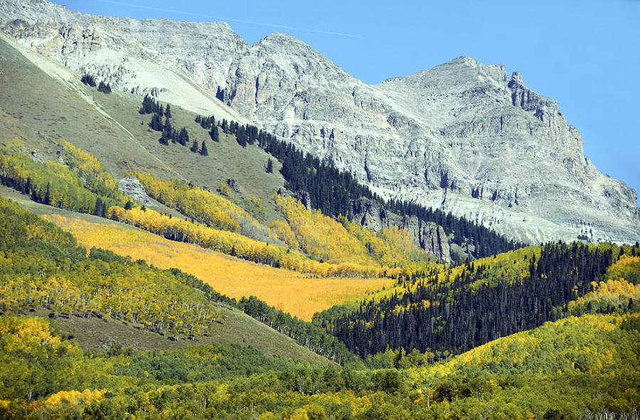 _USA7390 _USA7390