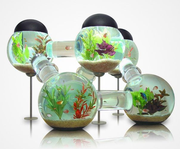 Aquarium Unik 11 Desain Aquarium Mini Dan Unik Cocok Untuk Hiasan