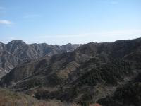 Free Image Hosting at www.ImageShack.us