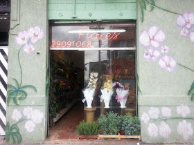 Floricultura Flores da Vila