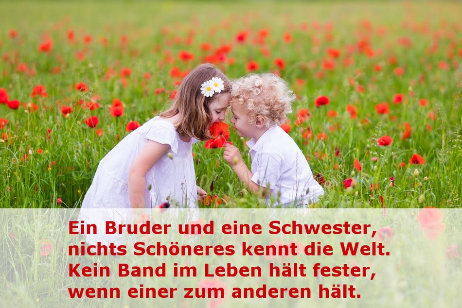 Schöne Sprüche Bruder Mateen Shirani
