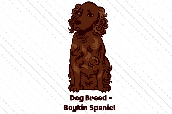 Download Free Dog Breed Boykin Spaniel Svg Cut Files Free Svg Images For Cricut PSD Mockups.