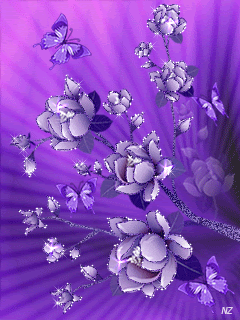 Фиолетовые цветы.