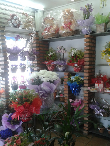 Comentários e avaliações sobre Floricultura lago azul