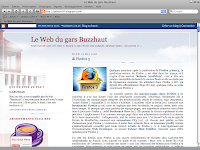 safari 3 navigateur image