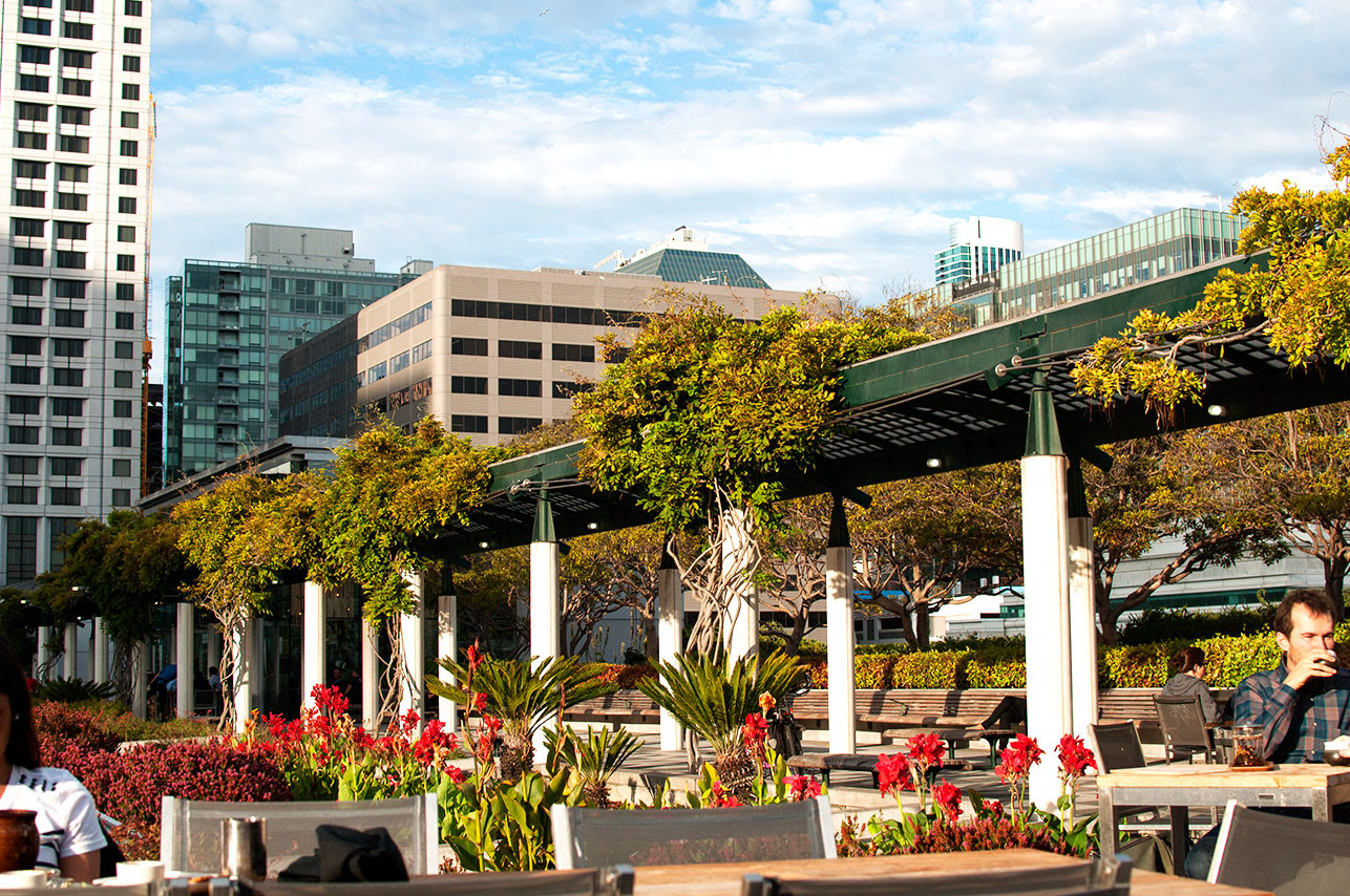 Samovar Tea Lounge Yerba Buena Gardens / Window View Picture Of Samovar