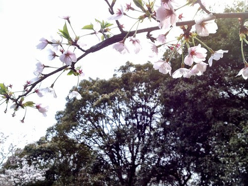 20120415104014