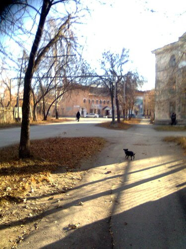 Седьмого ноября была отличная погода Седьмого ноября была отличная погода