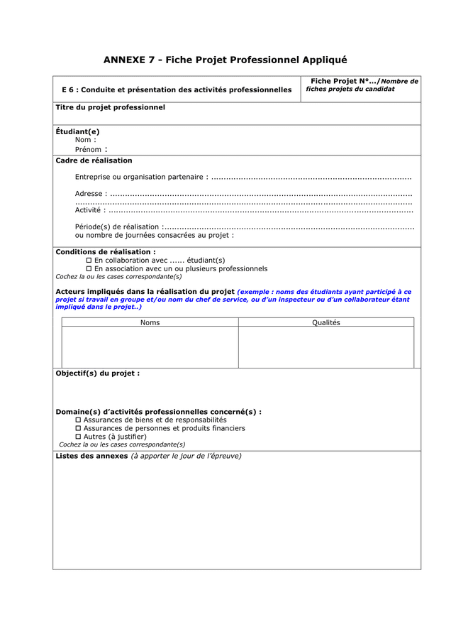 Exemple D Un Projet Professionnel Pdf  Le Meilleur Exemple