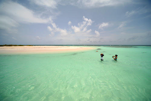 snorkel point