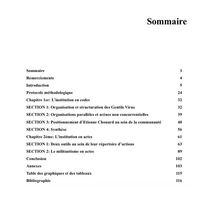 Exemple De Sommaire Dun Mémoire  Le Meilleur Exemple