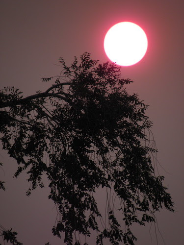 (Arizona Wildfire) Yes, We now live on Mars