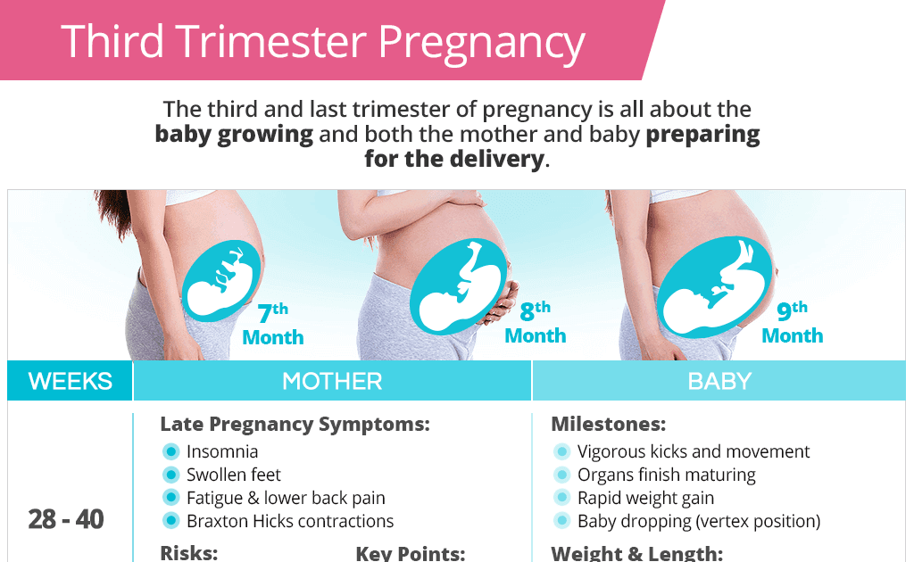 What Develops In The Baby During The Third Trimester