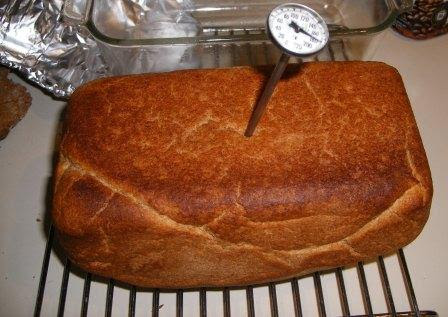 Taking the Temperature of Bread