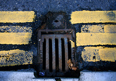 Gutter Grate