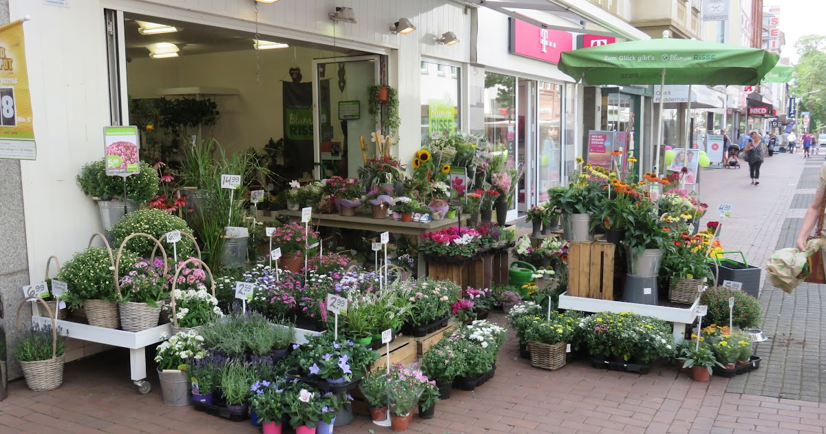 Blumen Risse Dortmund Brackel
