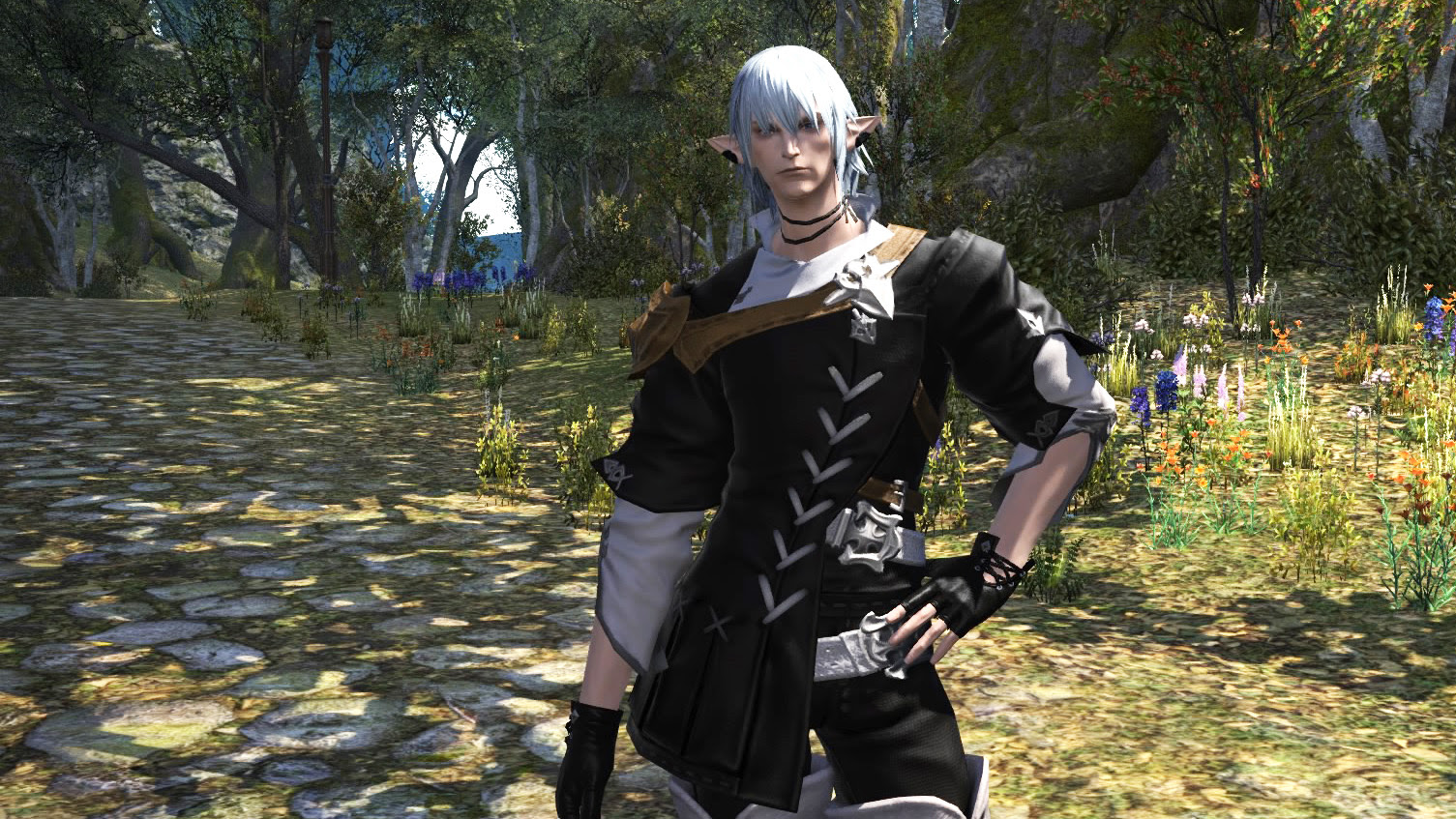 50+ Ff14 イケメン レシピ アニメ柔術HD