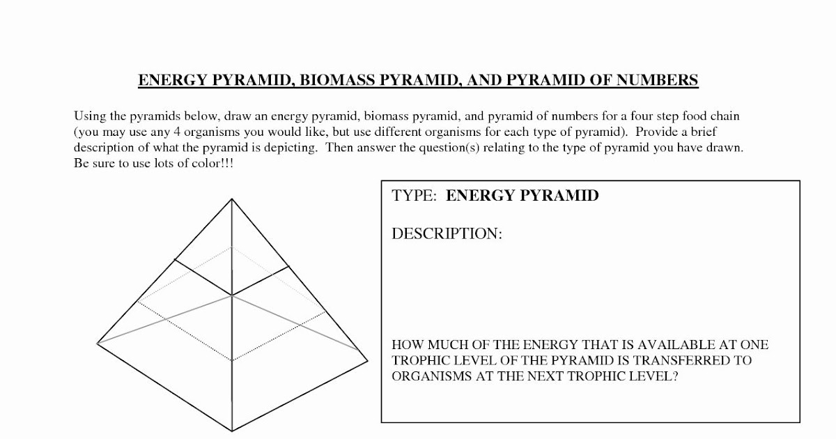 Energy Pyramid Worksheet - Ideas Habit