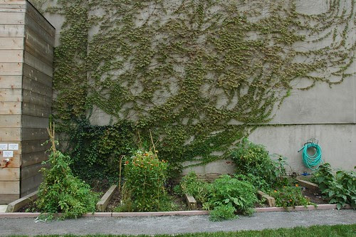 Planting Beds