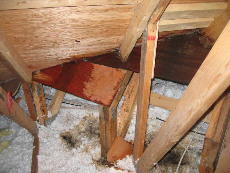 How To Make A Successful Water Leak Insurance Claim Tips