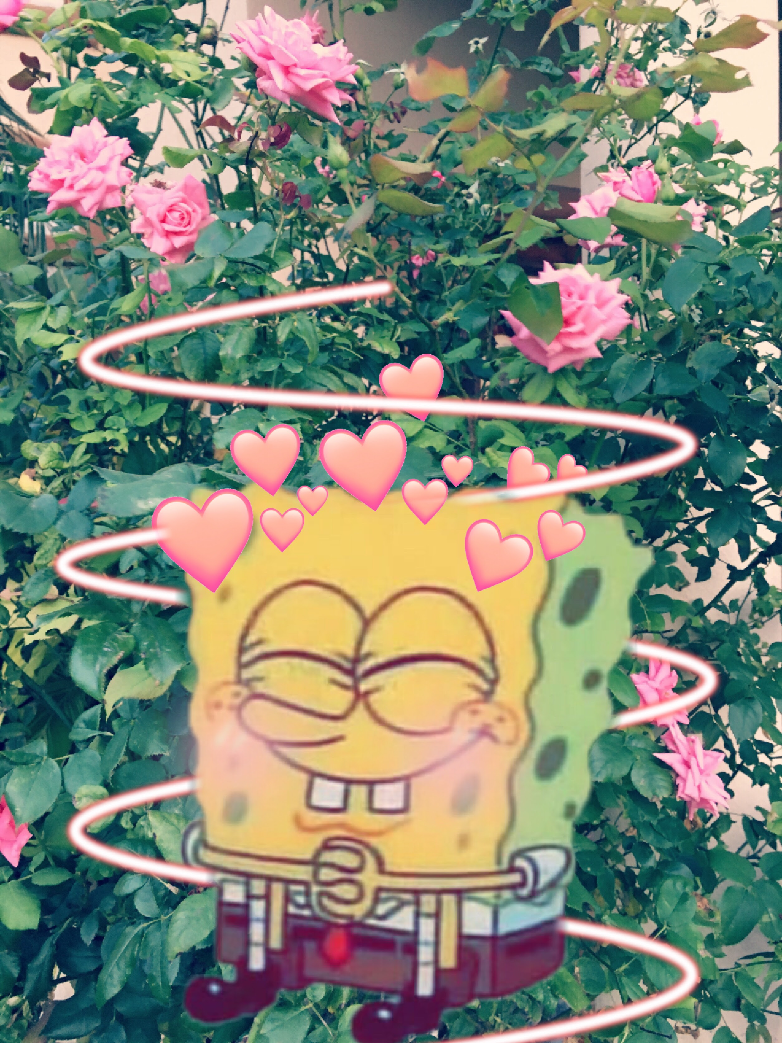 Pfp Spongebob Aesthetic Spongebob Pfp Largest Wallpaper Portal | My XXX ...