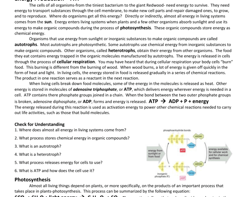 38 Cell Energy Worksheet Answers - Worksheet Source 2021
