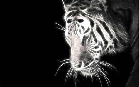 Black Tiger Wallpaper WallpaperSafari Black Tiger Wallpaper WallpaperSafari