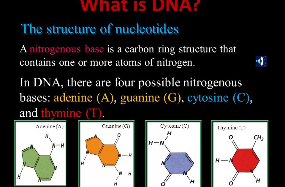 Chapter 112 Dna And Genes Worksheet Answers - Escolagersonalvesgui