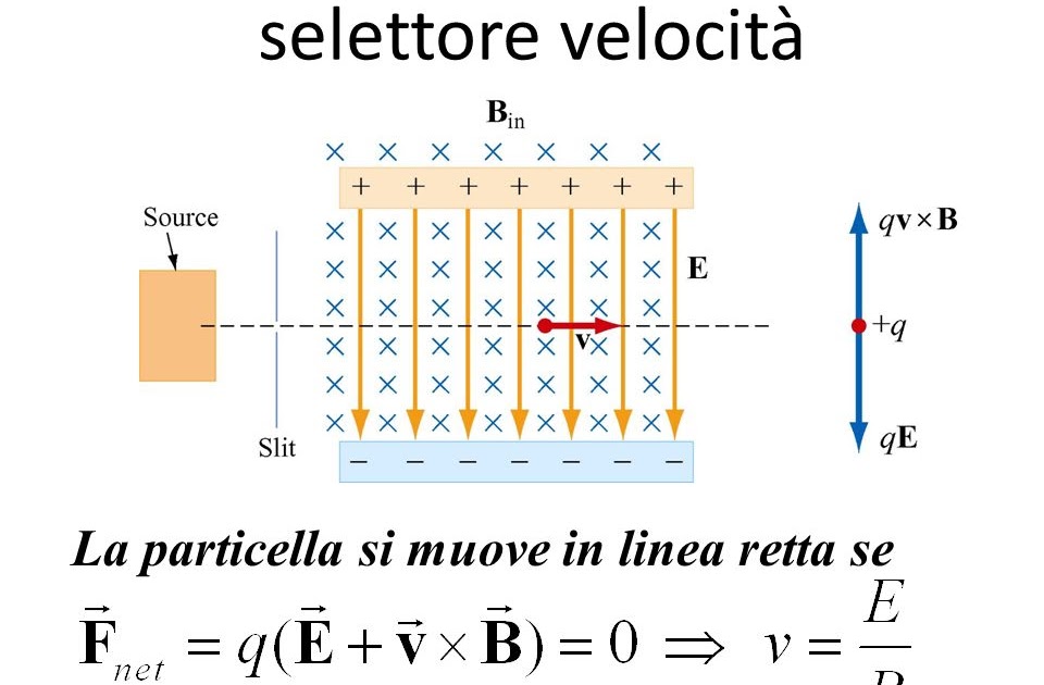 Una Particella Di Massa M 3 0 X 10^5 E Carica Q 2 0 X 10^6 wolimee